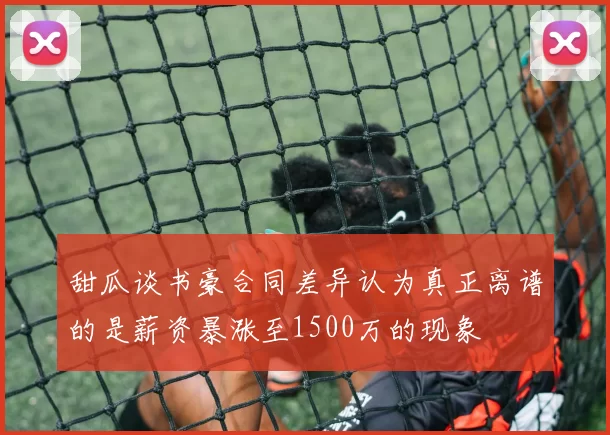 甜瓜谈书豪合同差异认为真正离谱的是薪资暴涨至1500万的现象